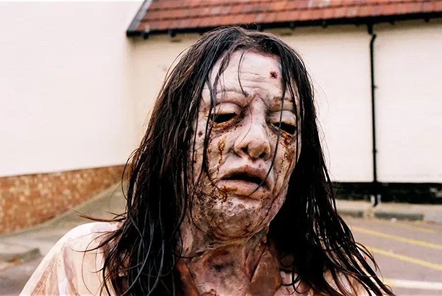 The Zombie Diaries online