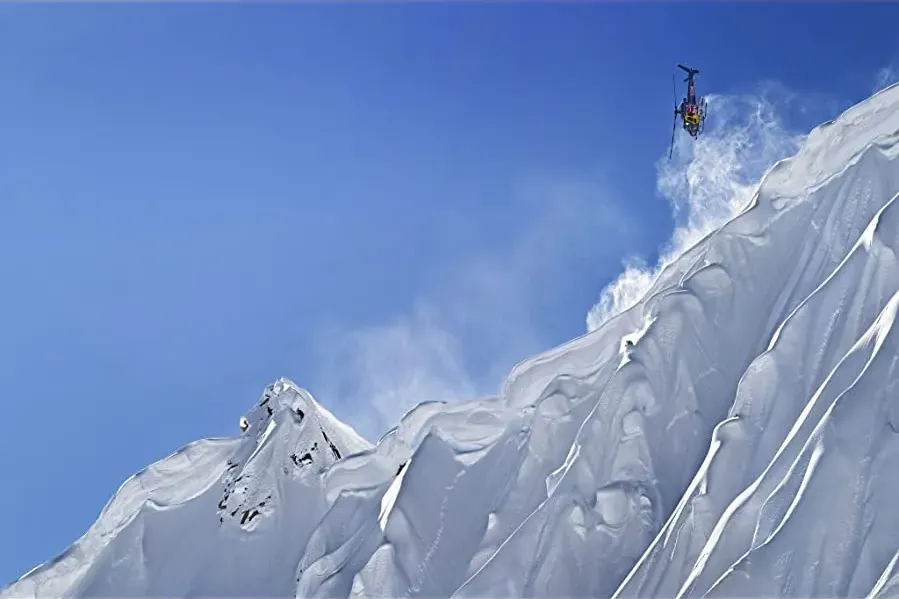 The Art of Flight online