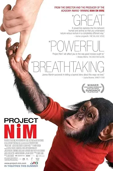 Projekt Nim
