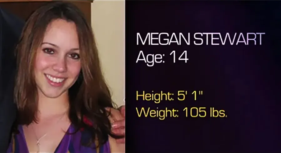 Megan Is Missing online