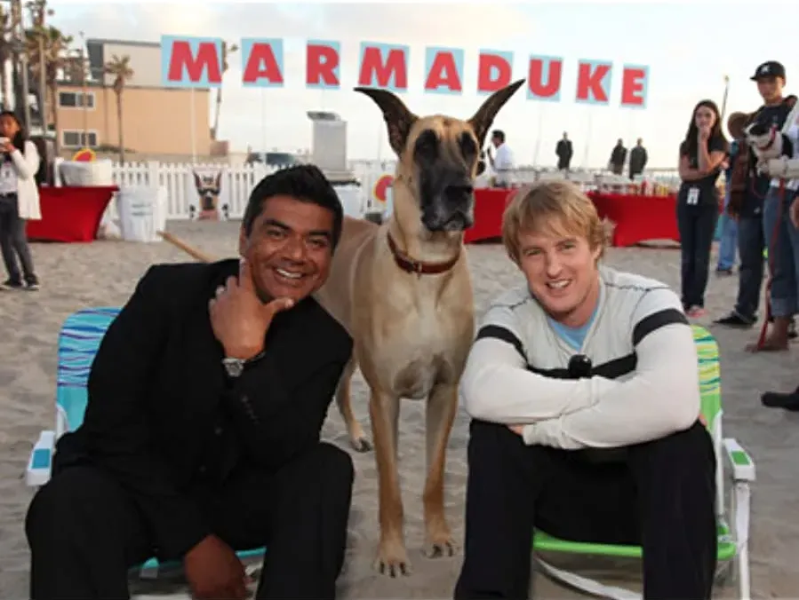 Marmaduke - pies na fali online