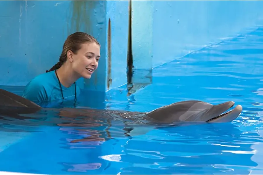 Dolphin Tale online