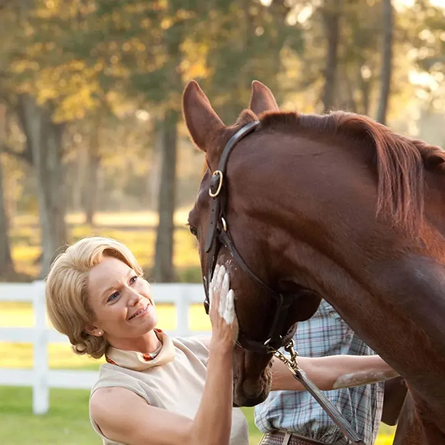 Secretariat online