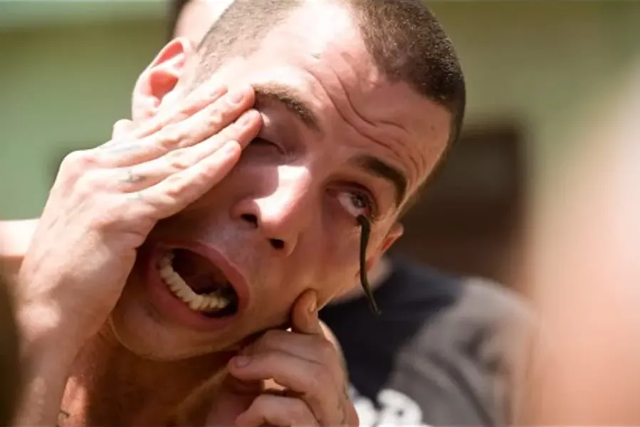 Jackass Number Two online