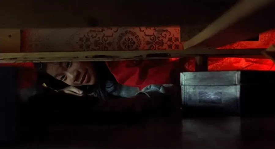 Double Happiness online