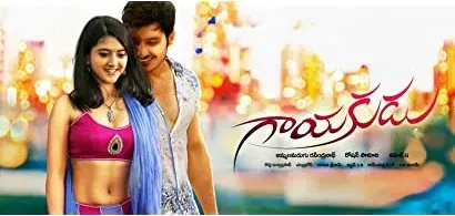 Gayakudu