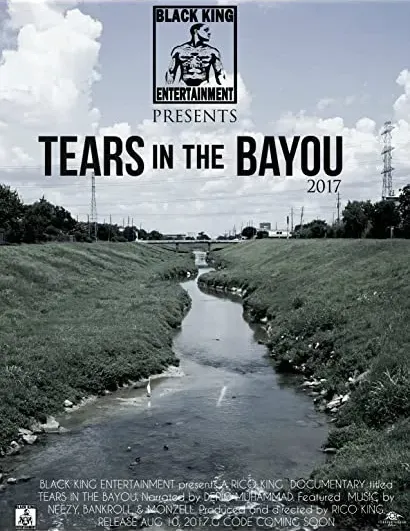 Tears in the Bayou