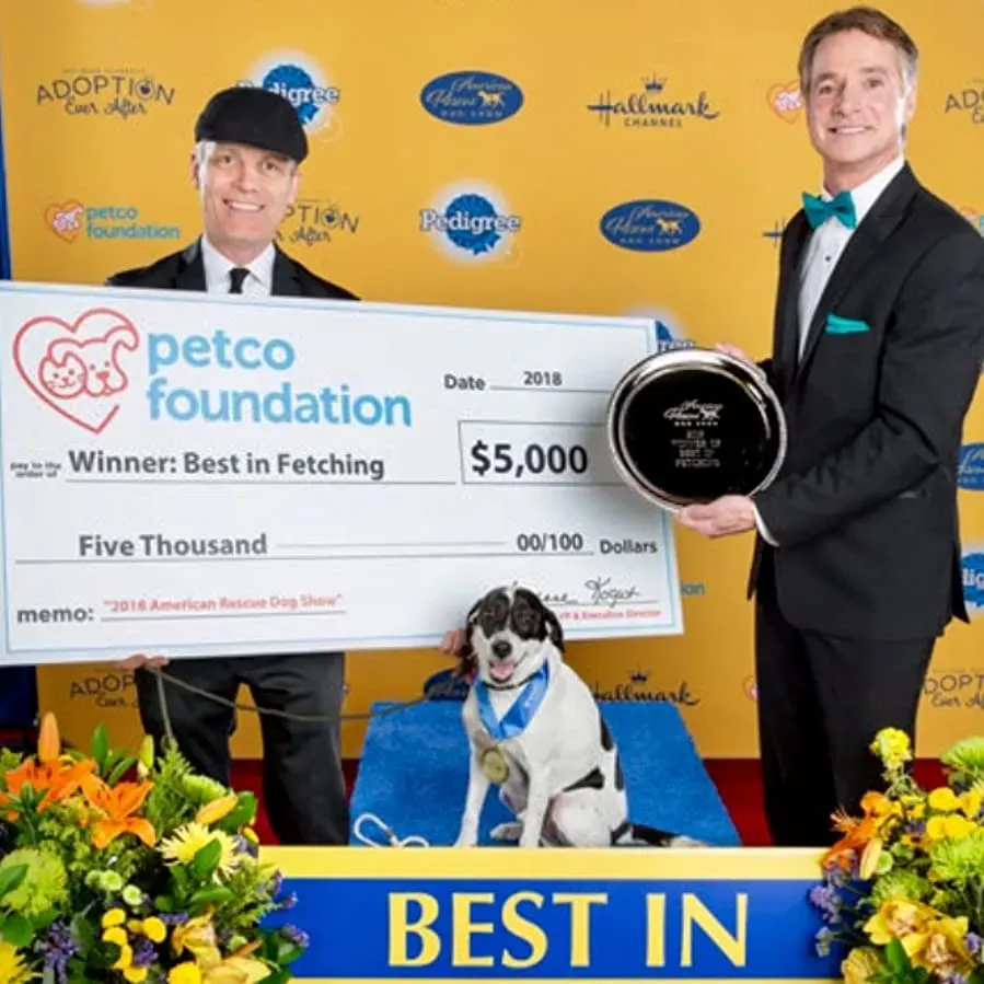 2018 American Rescue Dog Show online