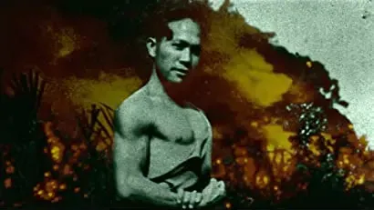 Cane Fire