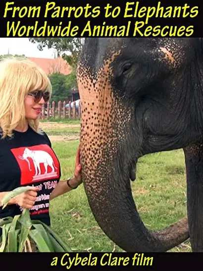 From Parrots to Elephants: Worldwide Animal Rescues