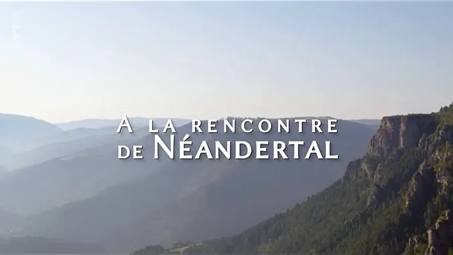 À la rencontre de Néandertal online