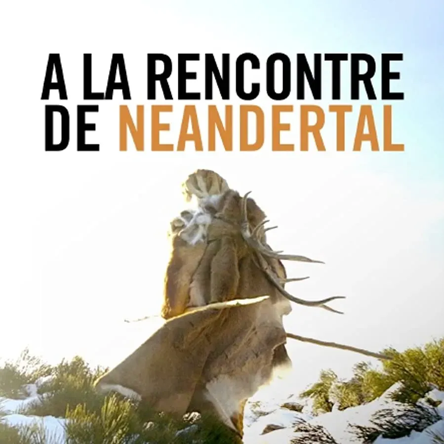 À la rencontre de Néandertal online