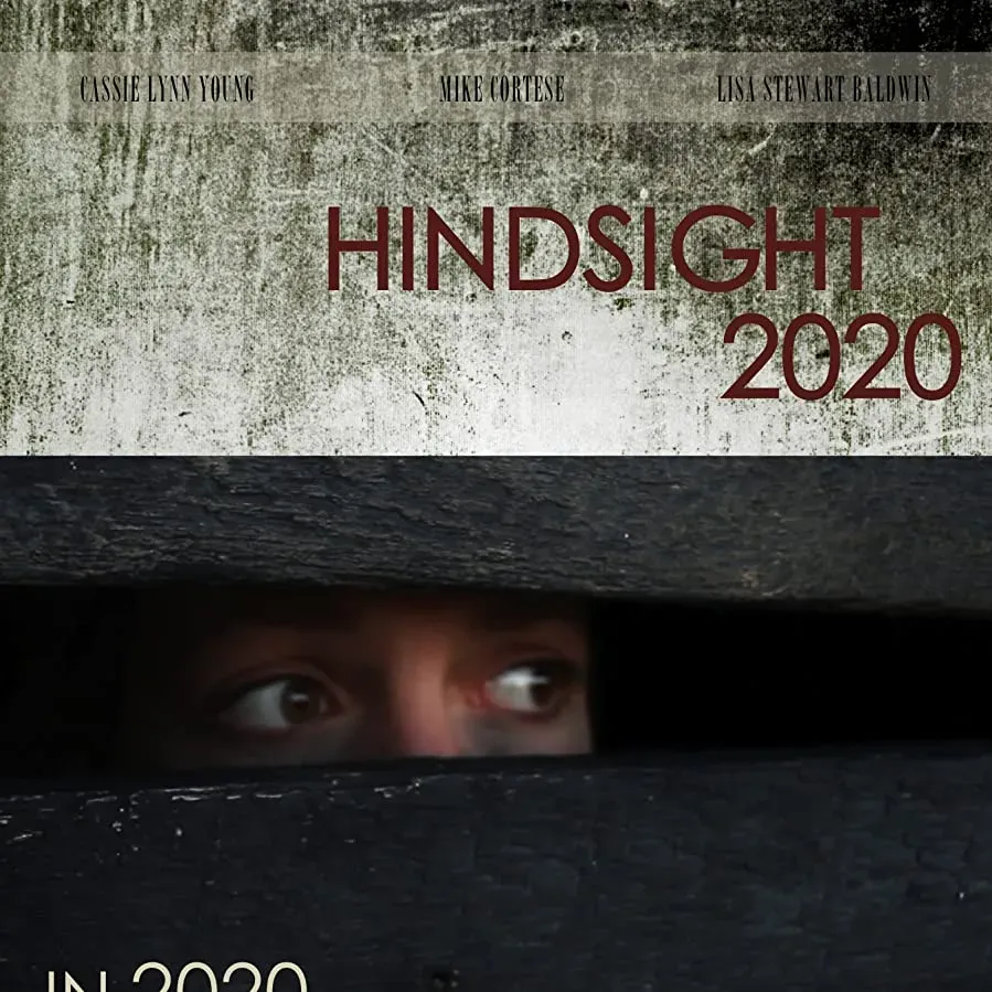 Hindsight 2020 online