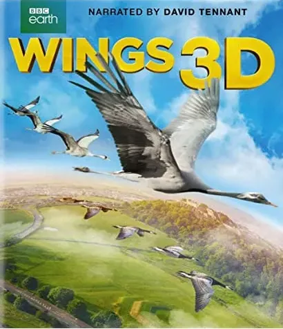 Wings