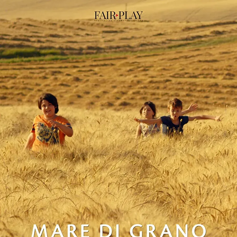 Mare di grano online