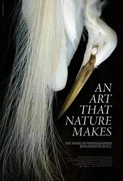 Sztuka natury: Fotografie Rosamond Purcell