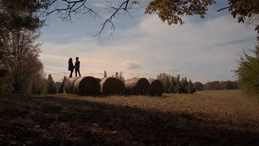 A Christmas Tree Love Story online