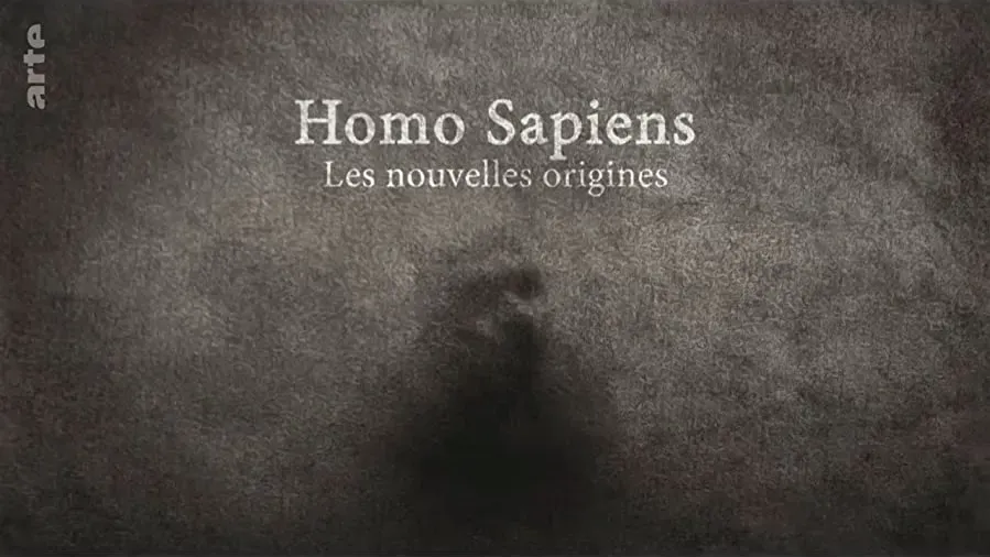 Homo sapiens, les nouvelles origines online
