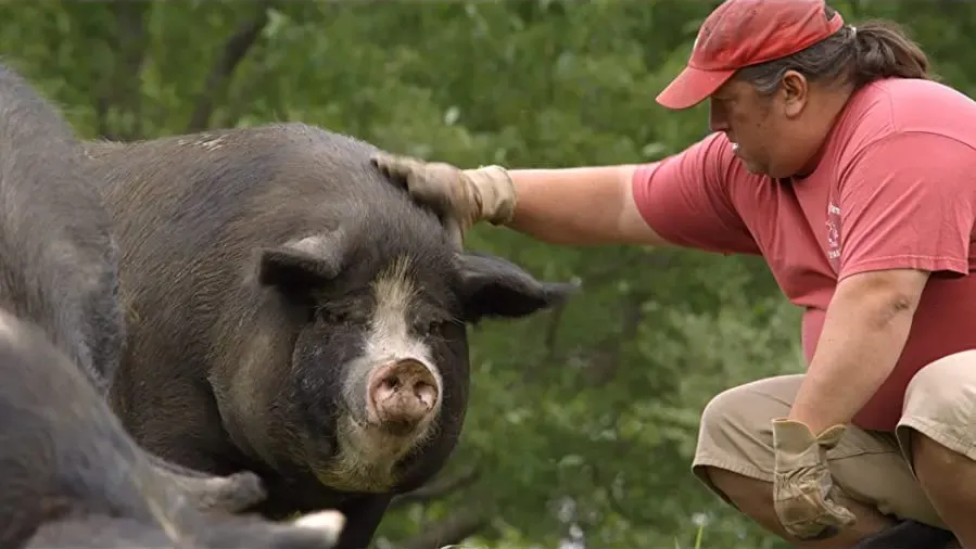 The Bullish Farmer online