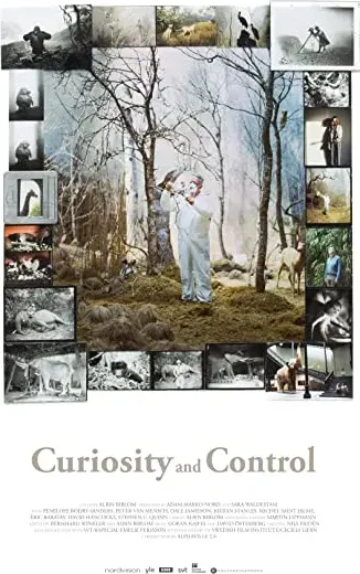 Curiosity and Control