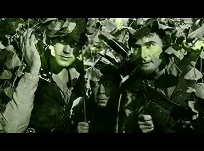 Robin Hood: The First Celebrity Outlaw
