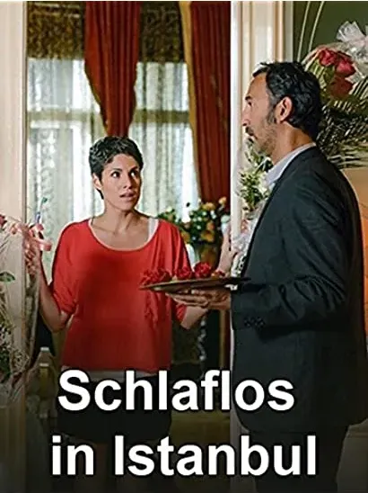 Schlaflos in Istanbul