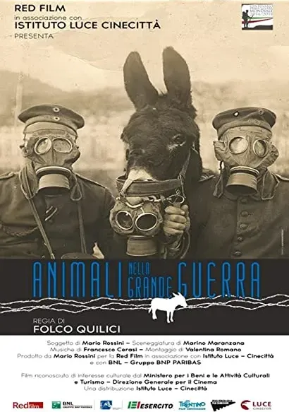 Animali nella Grande Guerra