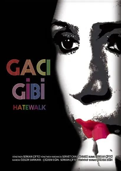 Gaci gibi