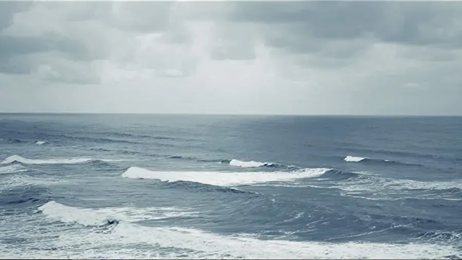 Malni-Towards the Ocean, Towards the Shore online