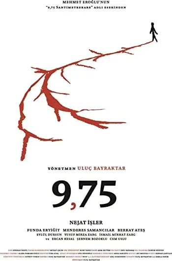 9,75 Santimetrekare