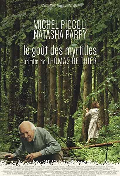 Le goût des myrtilles