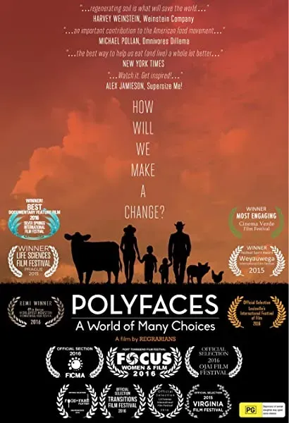 Polyfaces