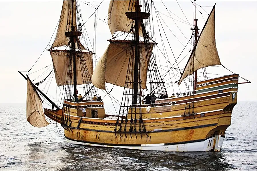 The Mayflower Pilgrims: Behind the Myth online
