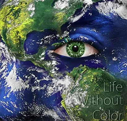 Life Without Color