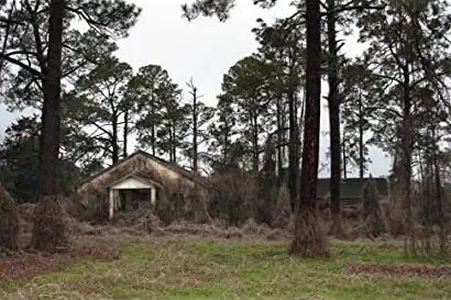 Deadly Secrets: The Lost Children of Dozier