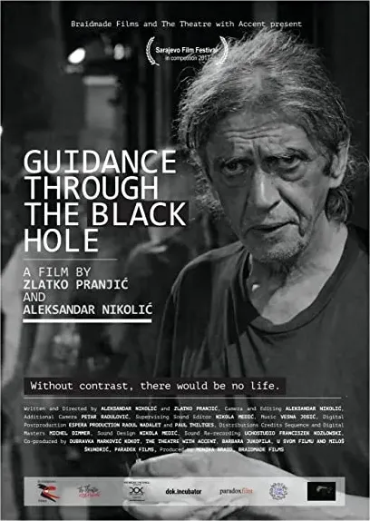 Guidance through the Black Hole
