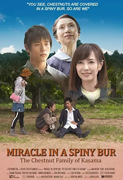 Miracle in a Spiny Bur: The Chestnut Family of Kasama