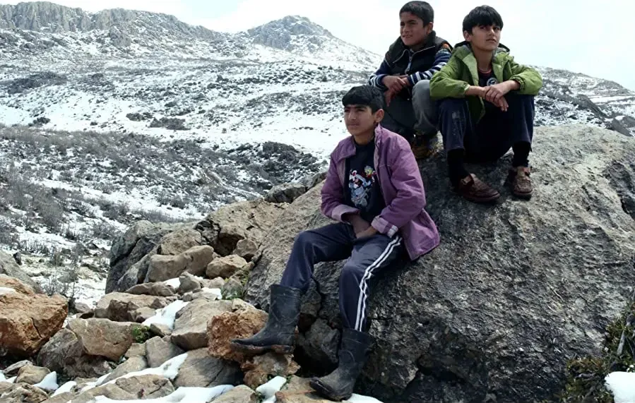 Shingal, where are you? online
