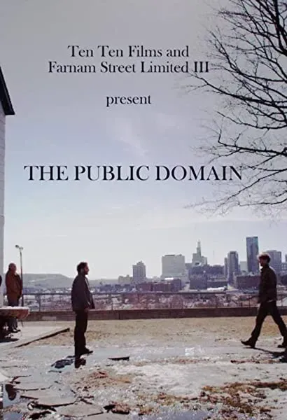 The Public Domain