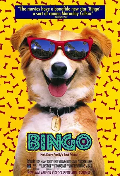 Bingo