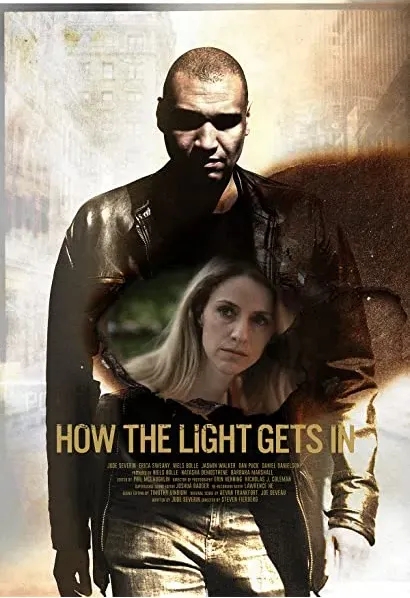 How the Light Gets In