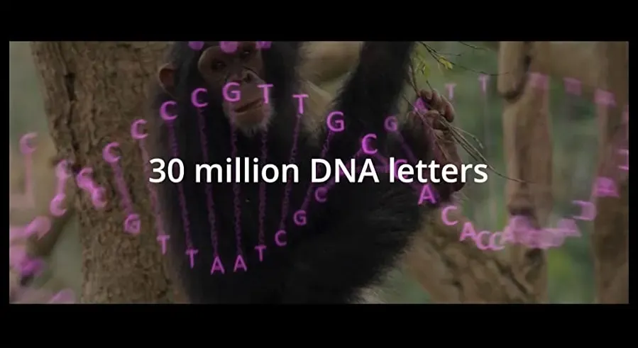 Dismantled: A Scientific Deconstruction of The Theory of Evolution online