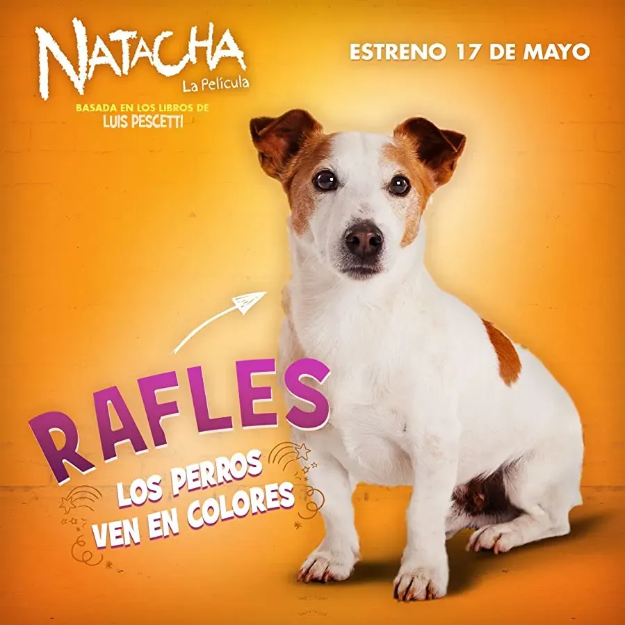 Natacha, la pelicula online