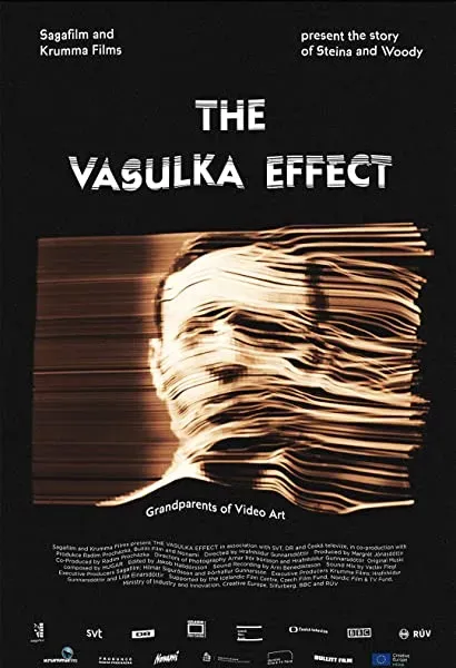 The Vasulka Effect