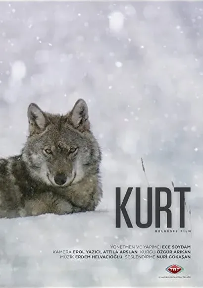 Kurt