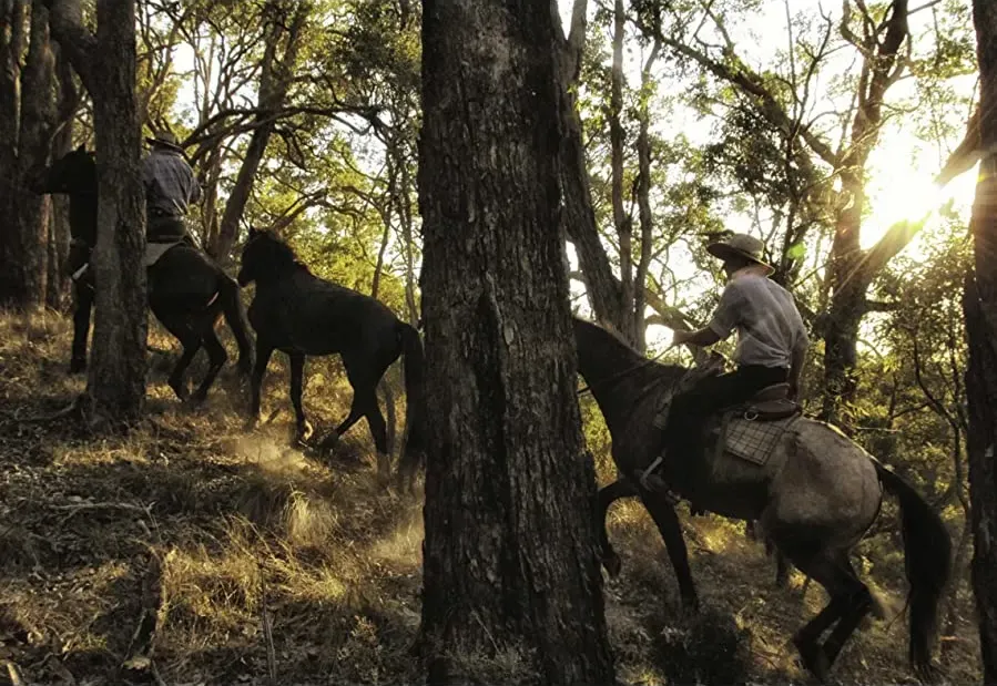 The Man from Coxs River online