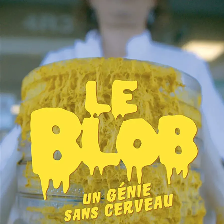 Le blob, un génie sans cerveau online