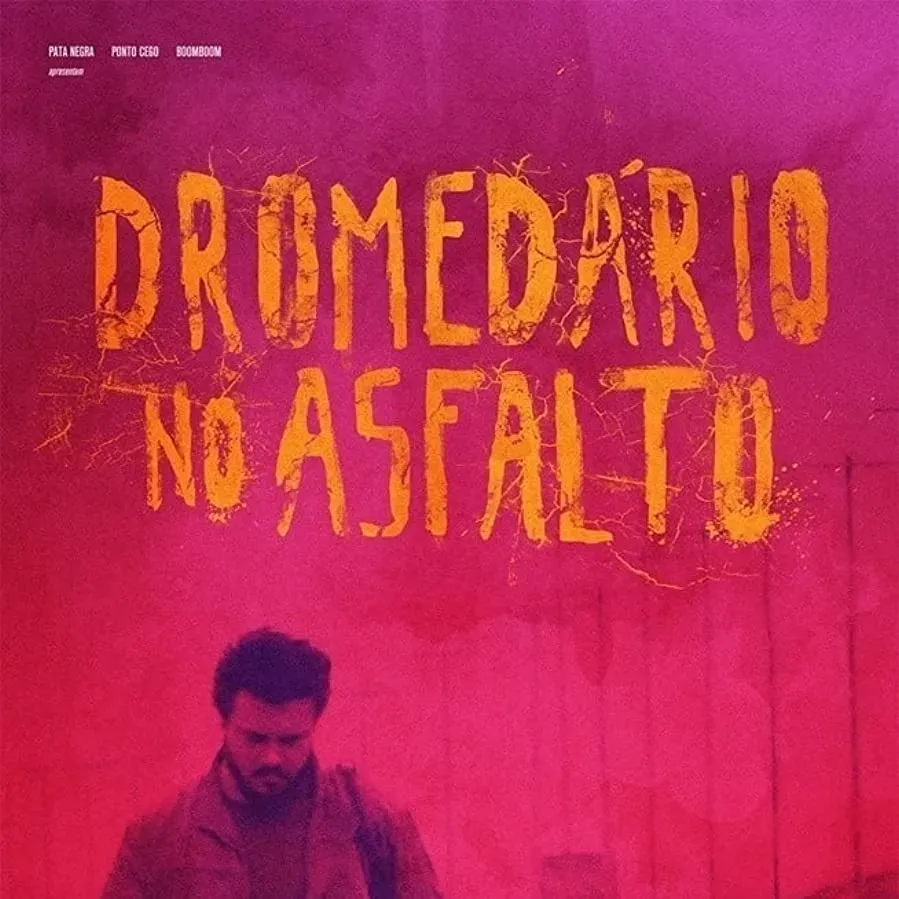 Dromedário no asfalto online
