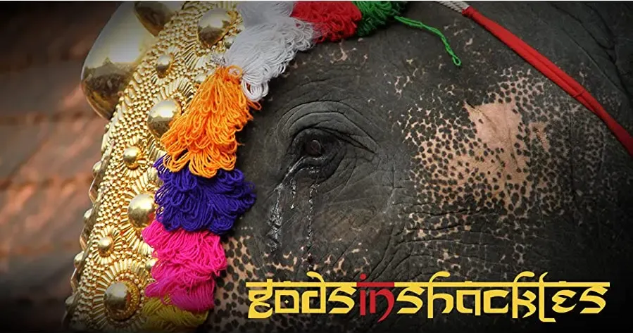 Gods in Shackles online