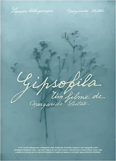 Gipsofila